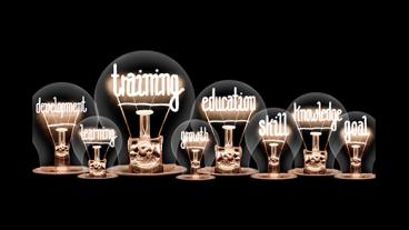 light bulb series with element spelling various training terms
