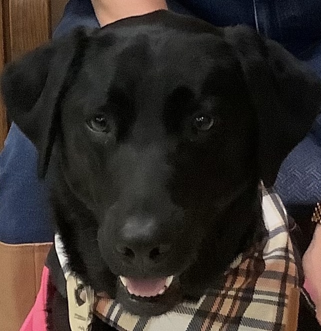Penny Portrait