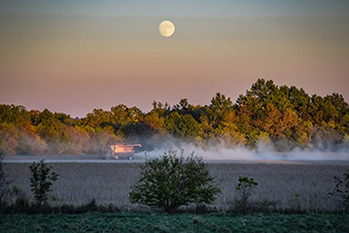 Picture taken by Renee Roetheli, Franklin County 4-H mom/leader combine in field