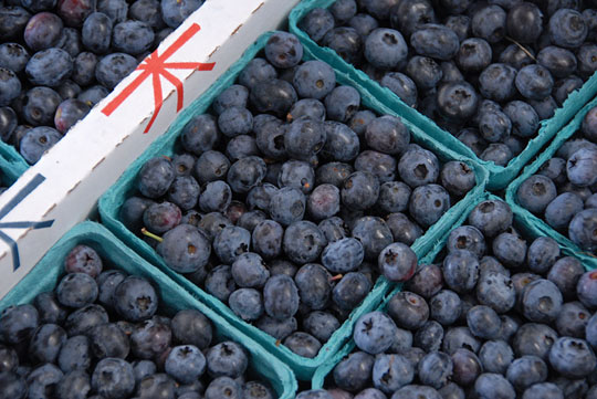 blueberries blueberries