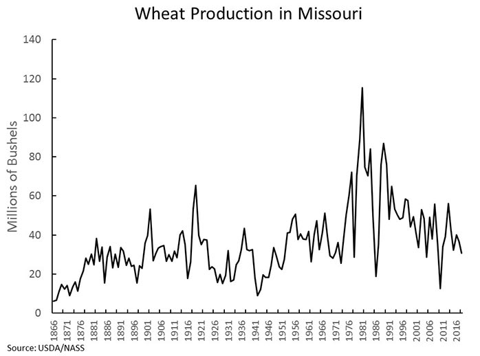 Chart showing Missouri wheat production in millions of bushels every five years, 1866 through 2016