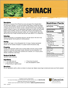 Spinach