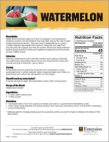 handout