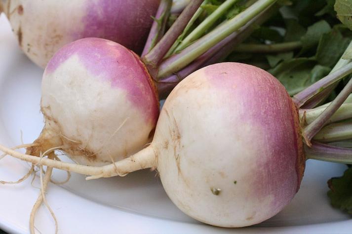 Turnips. Photo by thebittenword.com, CC BY 2.0 (https://creativecommons.org/licenses/by/2.0), via Wikimedia Commons.