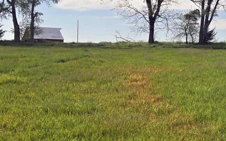 Damaged field