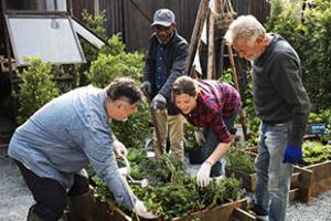 people gardening together