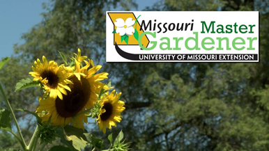 Sunflower and Missouri Master Gardener logo